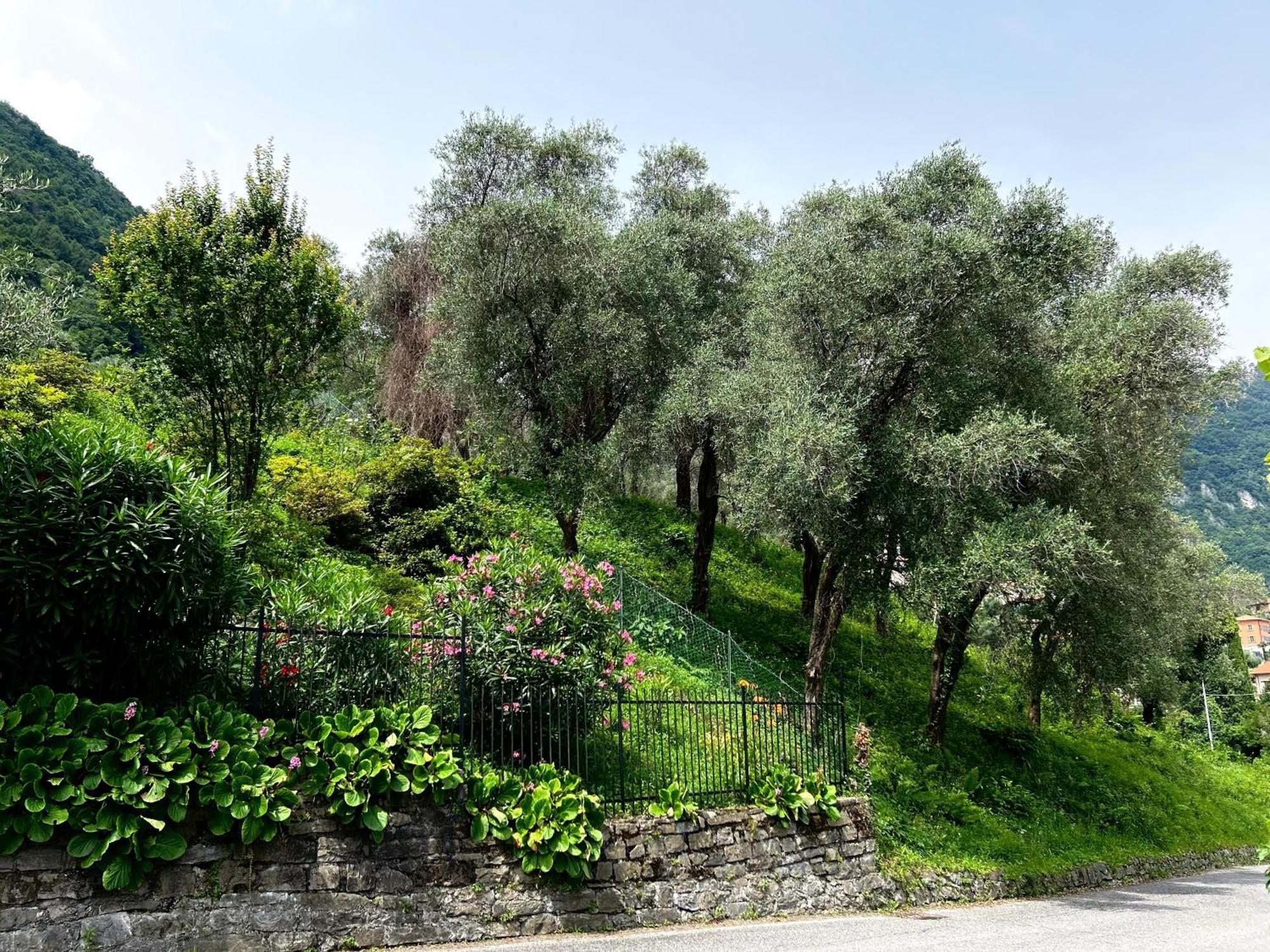 Lakeview Bellagio Apartment Limonta Exterior photo